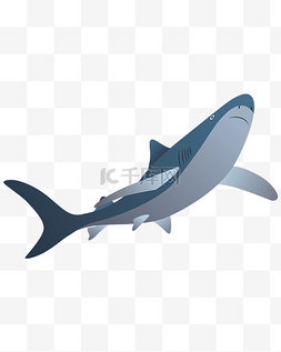 动物世界矢量图片_矢量手绘卡通鲨鱼