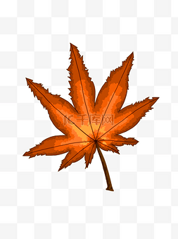 斑驳的元素图片_渐变斑驳的秋天红色叶子