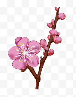 花树枝卡通图片_唯美的桃花树枝插画