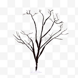 大雪盖落叶枯榕树
