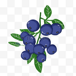 卡通水果蓝莓图片_免扣水果蓝莓PNG元素