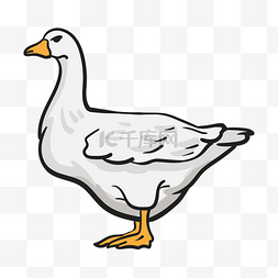 鸭子手绘插画鸭子图片_白色的家禽鸭子手绘插画