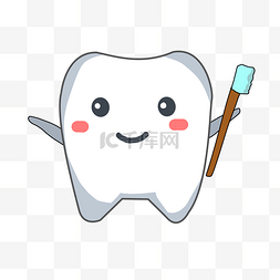 白色健康牙齿插图