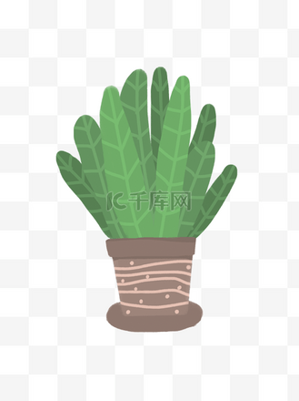手绘一盆观叶卡通绿植