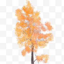 水彩树木秋天免费下载
