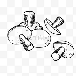 手绘蔬菜蘑菇插画图片_香菇矢量插画png
