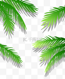 手绘绿色创意椰子叶子