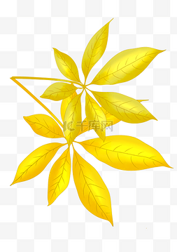 两片金黄色的叶子