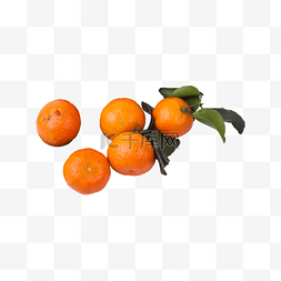 砂糖橘水果 