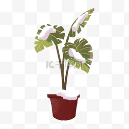 植物叶子芭蕉叶图片_手绘卡通绿色植物小清新
