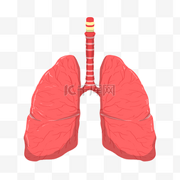 手绘医疗器官主题心肺卡通插画