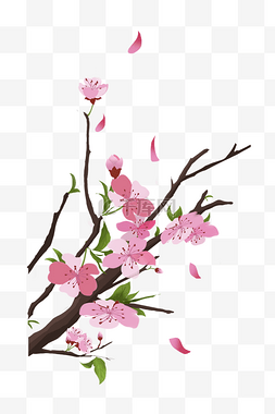 盛开的粉色花瓣图片_手绘粉色桃花插画