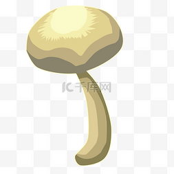蔬菜蘑菇榛蘑