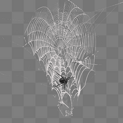 蜘蛛线蜘蛛网图片_蛛线丝网状效果创意设计