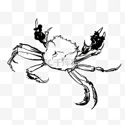 唯美图片_水墨线描螃蟹绘画