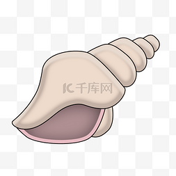 大贝壳图片_卡通海螺贝壳png素材