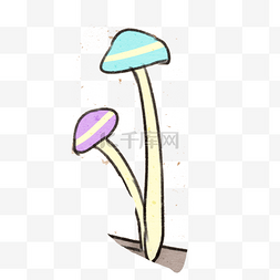 新鲜的蘑菇免抠图
