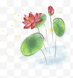 中国风水墨荷花和莲叶
