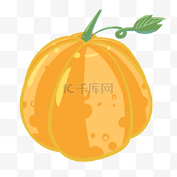 南瓜生长橘黄