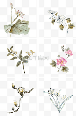 白描花卉图片_中国古风花卉插画