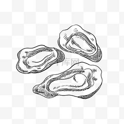 蛤蜊贝壳手绘卡通素材