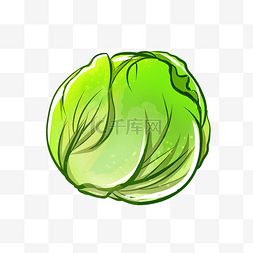 绿色拖车图片_蔬菜品种包菜插画