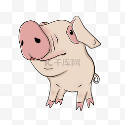 猪粉红图片_花眼折耳朵大鼻子小猪猪头像