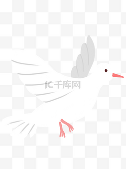 鸽子飞翔装饰图片_美丽纯洁白鸽装饰元素
