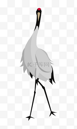 白鹤插画图片_手绘歪脖子的白鹤插画