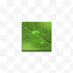 绿色清新图标图片_树叶上有水珠的图标