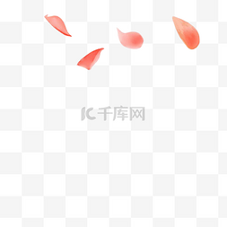 漂浮的立体图片_粉色的花瓣装饰插画
