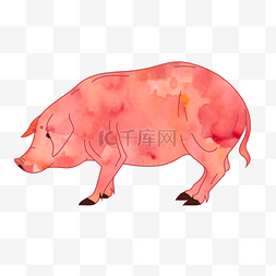 猪猪手绘插画图片_水彩风格猪PNG