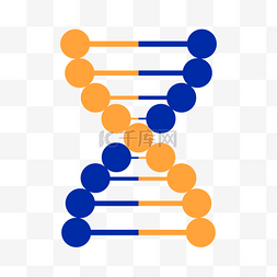 dna双螺旋结构图片_DNA双螺旋分子生物学