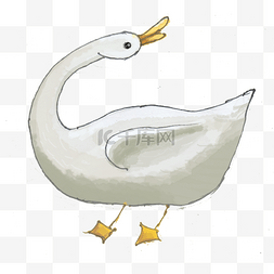 手绘水彩白色鸭子鹅png