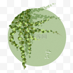 春天绿色植物插画图片_春天可爱的爬山虎