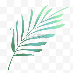 手绘水彩绿色扇形树叶