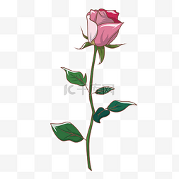 一支图片_一支粉色卡通玫瑰花