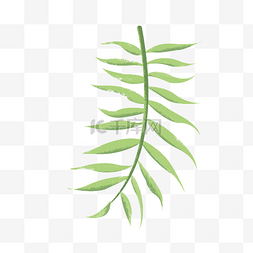 热带绿色植物手绘图片_矢量绿色植物素材图