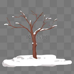 地上雪图片_雪地上的枯败树干
