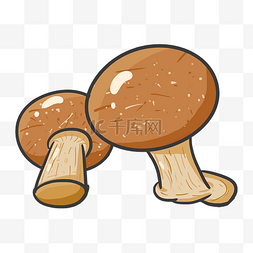 蔬菜菇类图片_烹饪美味有机蔬菜蘑菇