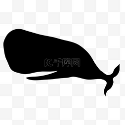 鲸鱼喷水柱图片_大白鲸弯曲