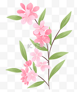 粉色春天花朵花枝插画