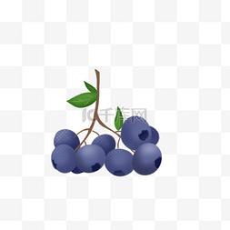 卡通水果树图片_手绘蓝莓卡通树枝
