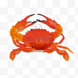 红色可爱的螃蟹图片_海鲜螃蟹手绘插画