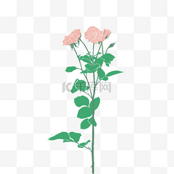 手绘花束玫瑰图片_卡通手绘植物插画玫瑰花