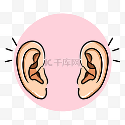 人体结构女图片_人五官耳朵