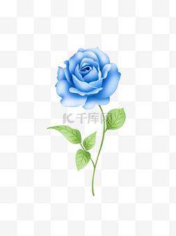 玫瑰花图片_大气矢量手绘蓝色玫瑰花一支可商