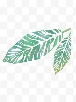 绿叶纹理图片_手绘纹理漂亮美观绿色植物绿叶可