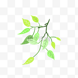 绿色卡通手绘装饰植物