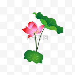 手绘中国风荷花图片_手绘卡通粉色莲花